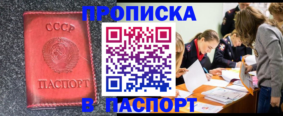 прописка для школы в Северске